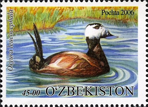 Stamps of Uzbekistan, 2006-115.jpg