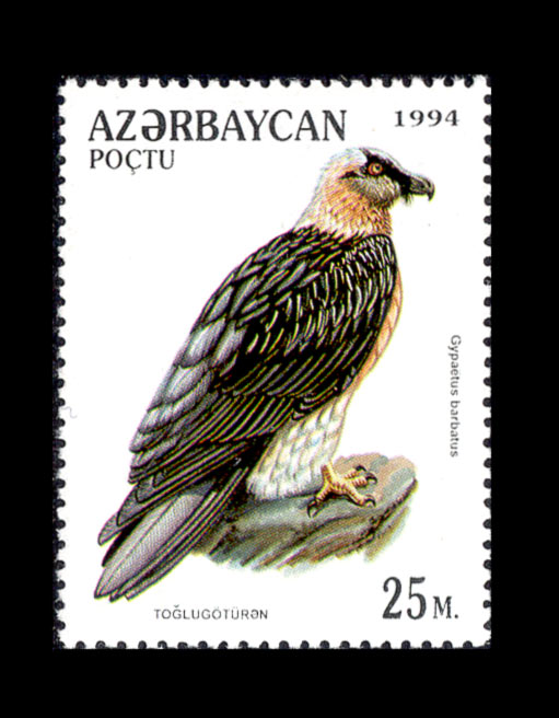 Stamp of Azerbaijan 272.jpg