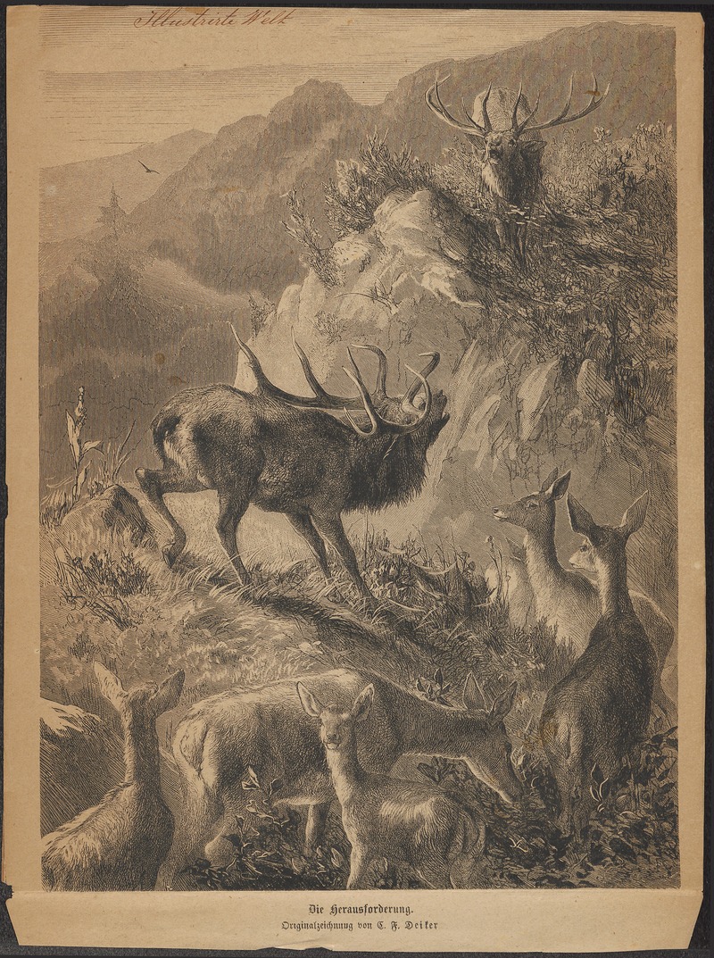 Cervus elaphus - 1700-1880 - Print - Iconographia Zoologica - Special Collections University of Amsterdam - UBA01 IZ21500252.jpg
