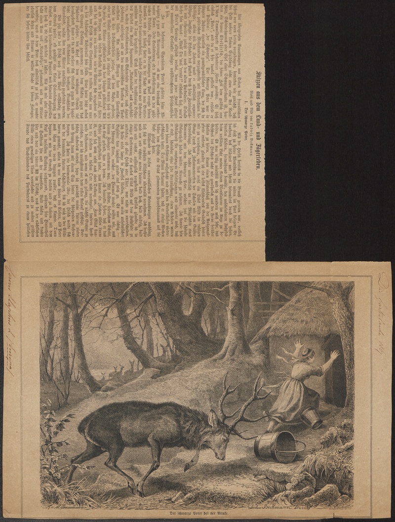 Cervus elaphus - 1867 - Print - Iconographia Zoologica - Special Collections University of Amsterdam - UBA01 IZ21500256.jpg