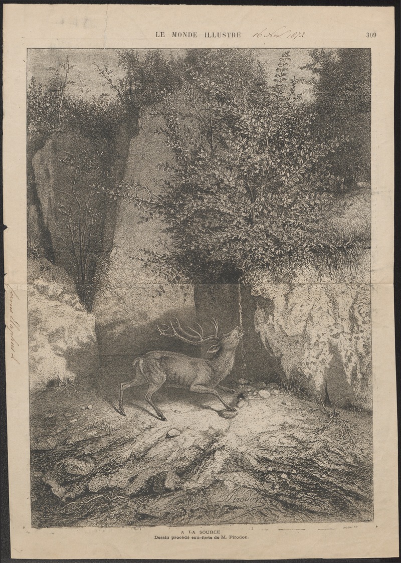 Cervus elaphus - 1872 - Print - Iconographia Zoologica - Special Collections University of Amsterdam - UBA01 IZ21500262.jpg
