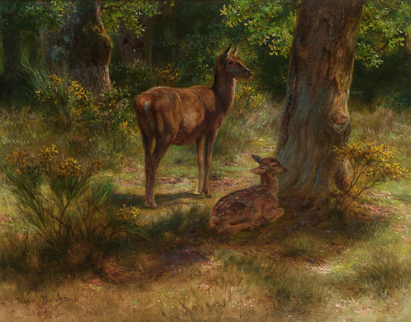 Rosa Bonheur - Les cerfs et les fauves dans un bois.jpg