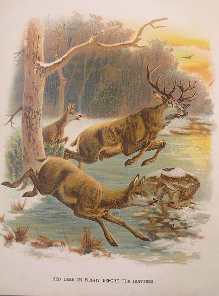 Boys Hunting Book 1890 5.jpg