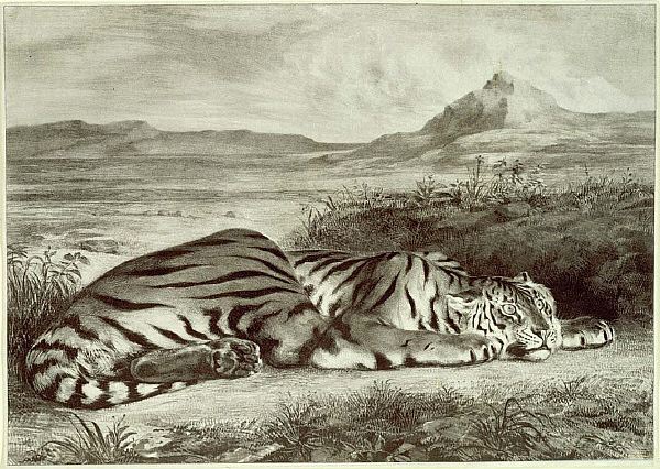 Eugène Delacroix - Royal Tiger.jpg
