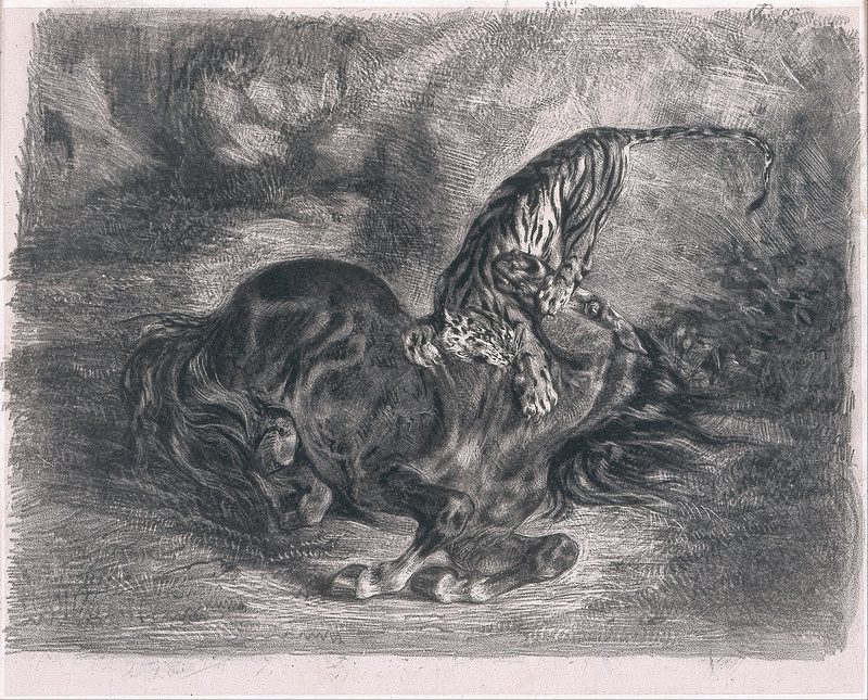 Ferdinand-Victor-Eugène Delacroix - Cheval sauvage terrassé par un tigre (Wild Horse Felled by a Tiger) - Google Art Project.jpg