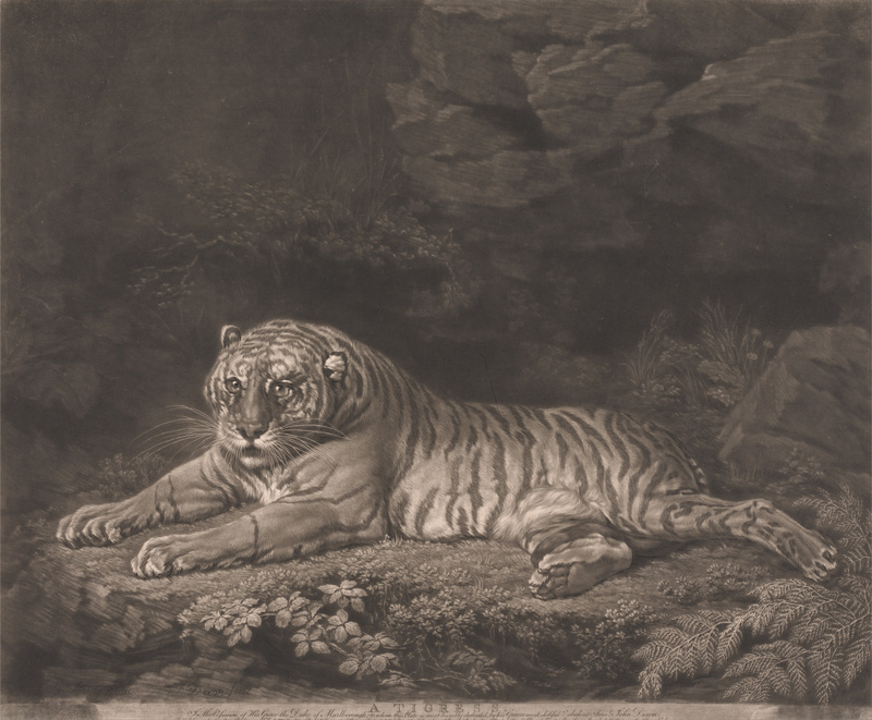 John Dixon - A Tigress - Google Art Project.jpg