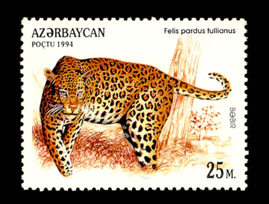 Stamp of Azerbaijan 278.jpg