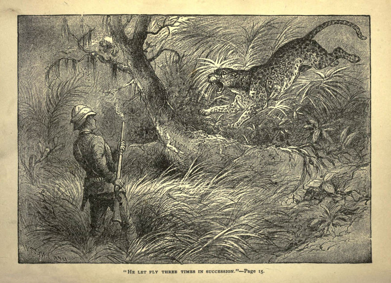 Forest and jungle, or, Thrilling adventures in all quarters of the globe (Page 14) (6221060606).jpg