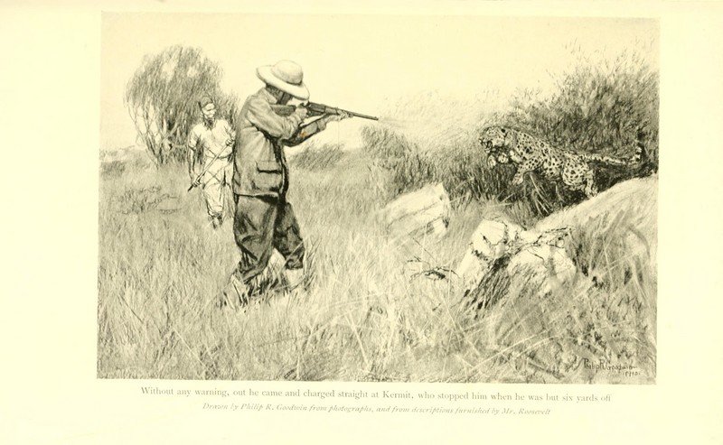 African game trails (Plate 3) (6914364542).jpg