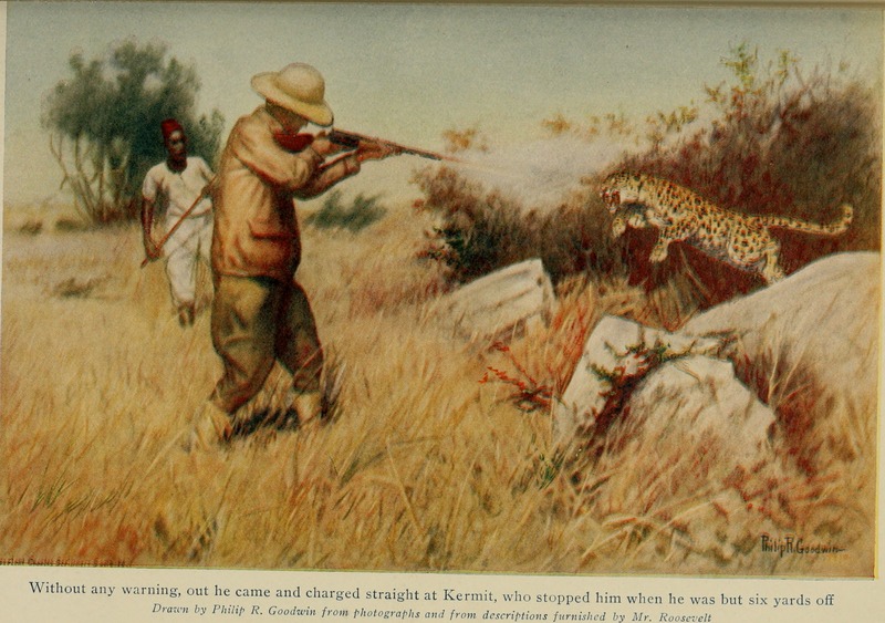 African game trails; (1910) (17757311530).jpg