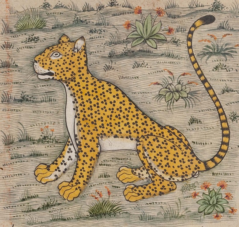 Faraḥ nāmah leopard inset.jpg