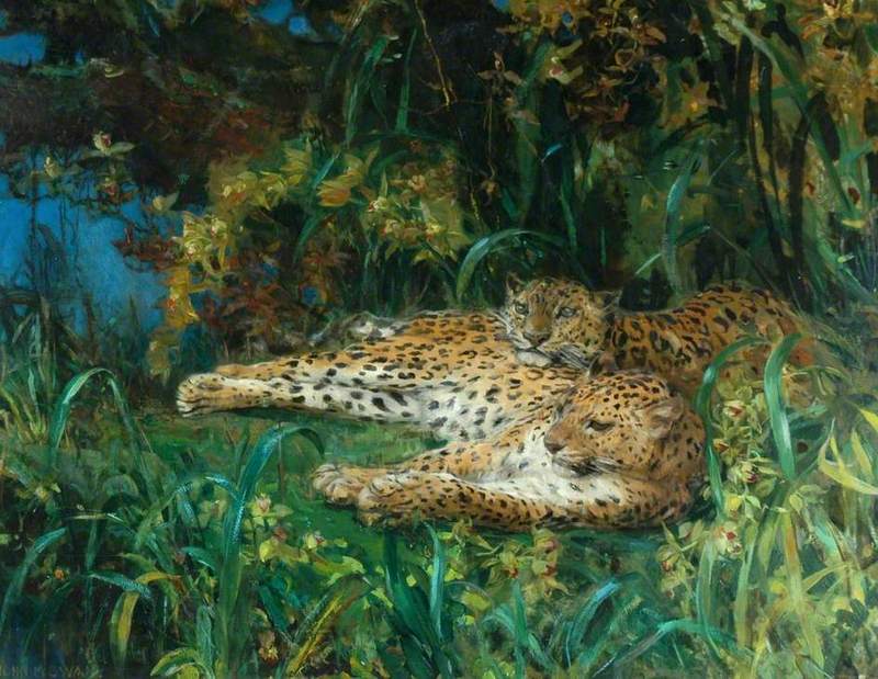 John Macallan Swan - Indian Leopards.jpg
