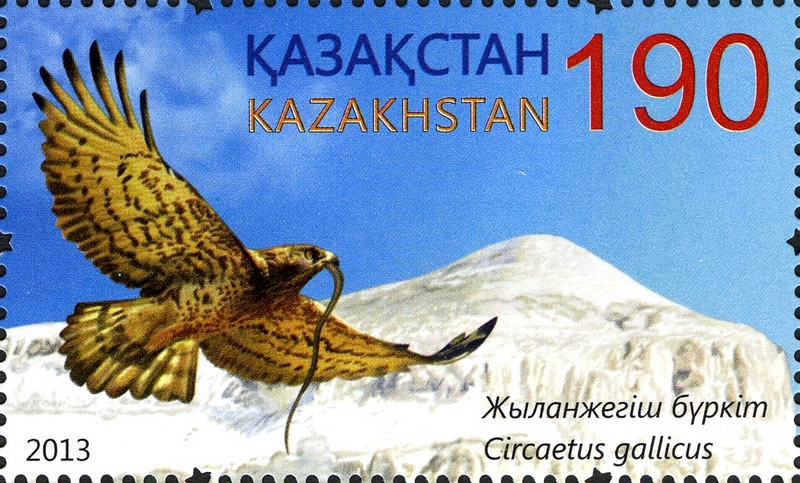 Stamps of Kazakhstan, 2013-57.jpg