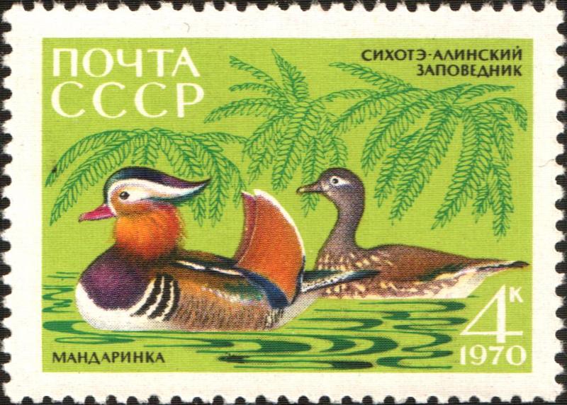 The Soviet Union 1970 CPA 3915 stamp (Mandarin Ducks).jpg