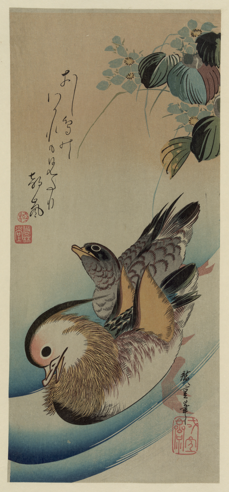 Mandarin duck woodcut.jpg