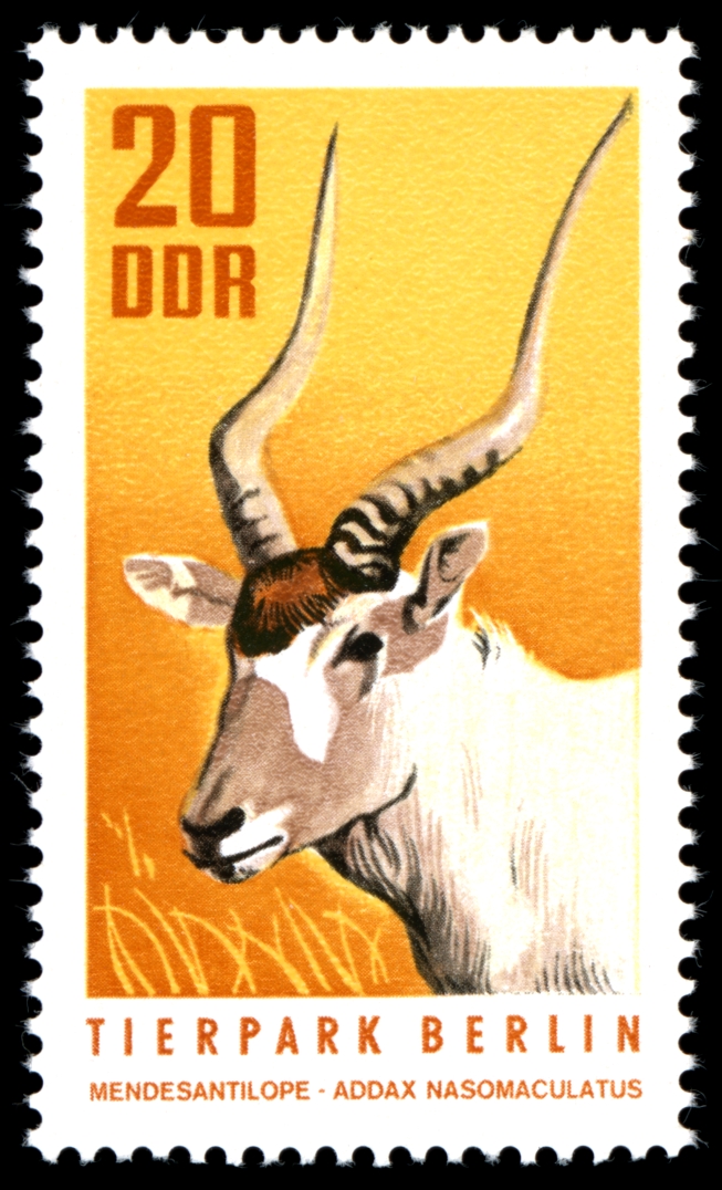 Stamps of Germany (DDR) 1970, MiNr 1619.jpg