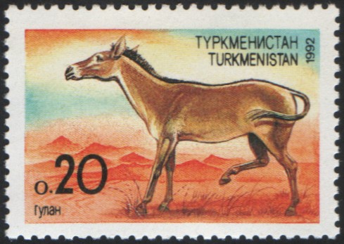 Stamp of Turkmenistan 1992 b.jpg