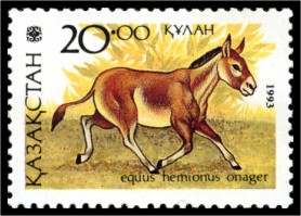 Equus hemionus onager - stamp.jpg