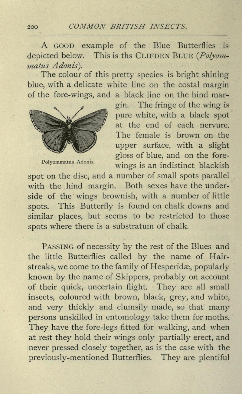 Common British insects selected from the typical beetles, moths, and butterflies of Great Britain (Page 200) BHL20045519.jpg