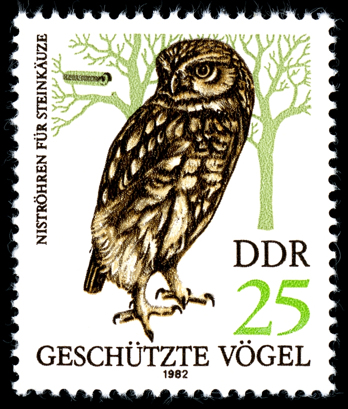 Stamps of Germany (DDR) 1982, MiNr 2704.jpg