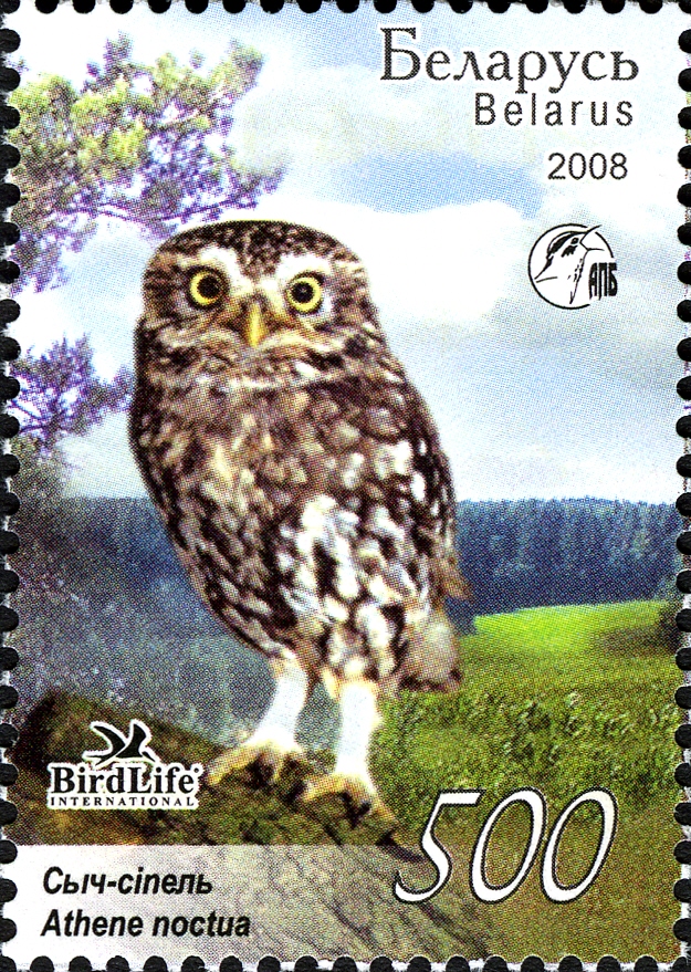 2008. Stamp of Belarus 39-2008-12-00-m768.jpg