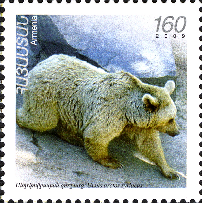 Ursus arctos syriacus 2009 Armenian stamp.jpg