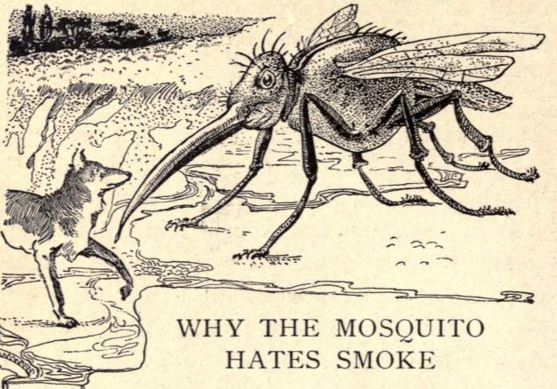 In the reign of coyote (1905) Why the mosquito hates smoke.png