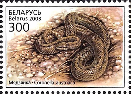 2003. Stamp of Belarus 0498.jpg