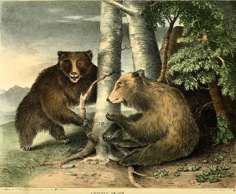 The Cabinet of natural history and American rural sports (1830) (14592237948).jpg