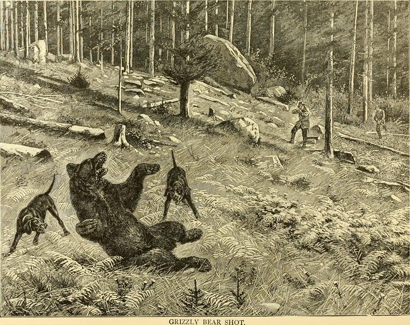 Hunting and trapping stories; a book for boys (1903) (14802407223).jpg