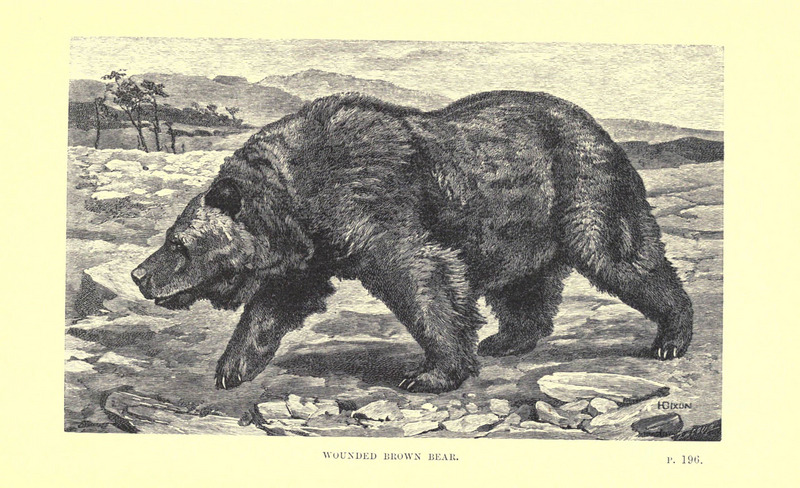 Wild beasts and their ways (Plate 13) (6505685715).jpg