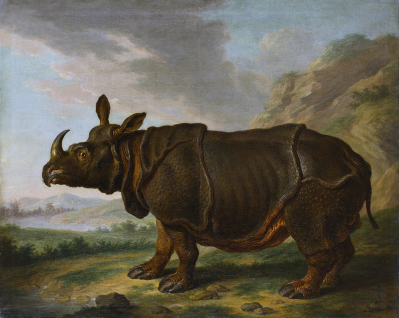 The Leiden Rhinoceros, by Johann Dietrich Findorff.jpg