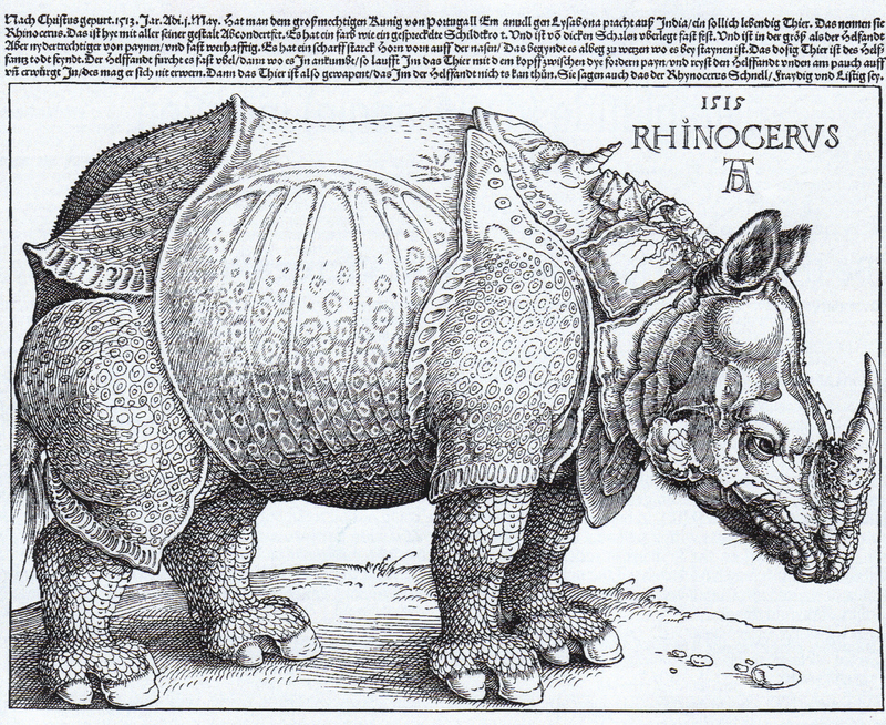 Rhinocerus woodcut (1515) Albrecht Dürer.jpg