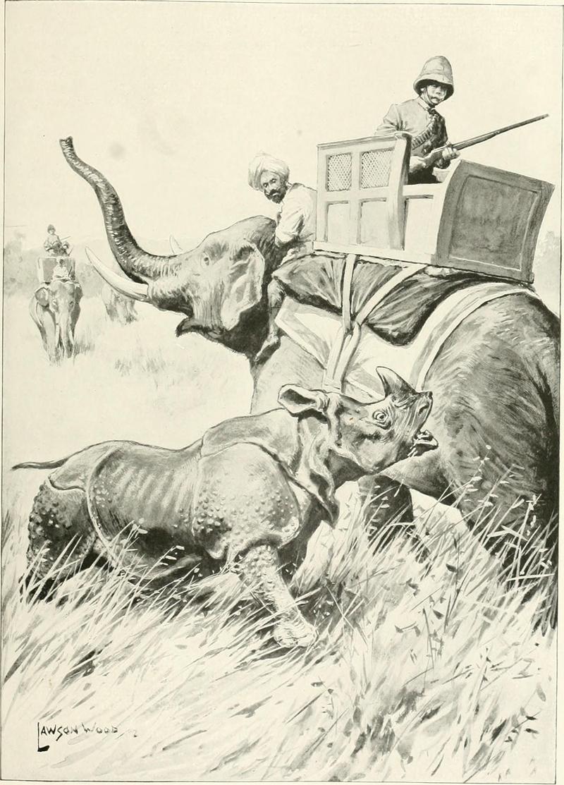 The sports of the world, with illustrations from drawings and photographs (1905) (14800325213).jpg