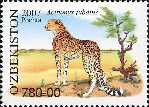 Stamps of Uzbekistan, 2007-48.jpg