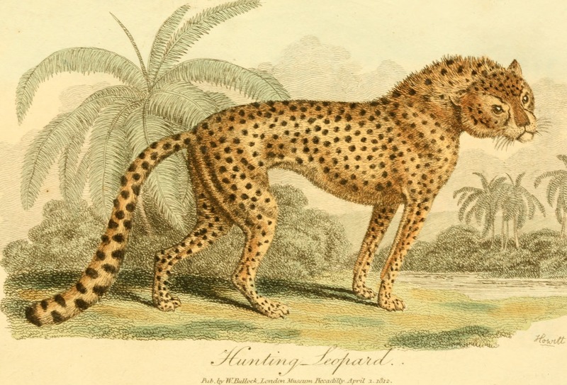 A companion to Mr. Bullock's London Museum and Pantherion - containing a brief description of upwards of fifteen thousand natural and foreign curiosities, antiquities, and productions of the fine (20480834430).jpg
