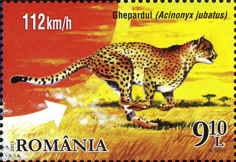 Stamps of Romania, 2015-004.jpg