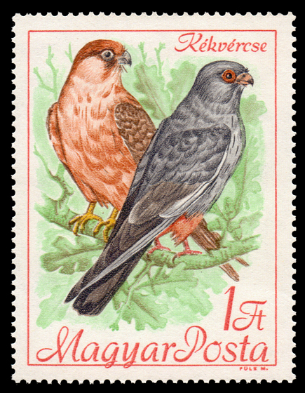 1892 Birds 100.jpg
