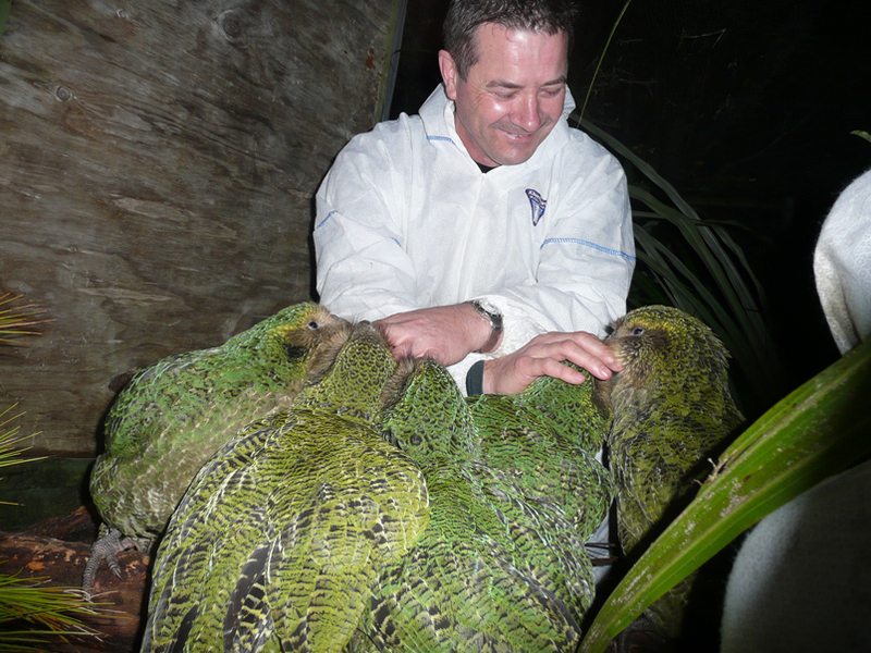 Stephen Bragg with kakapo chicks.jpg