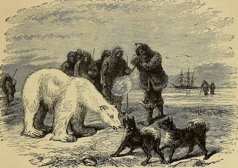 Animal products; (1877) (14753816746).jpg