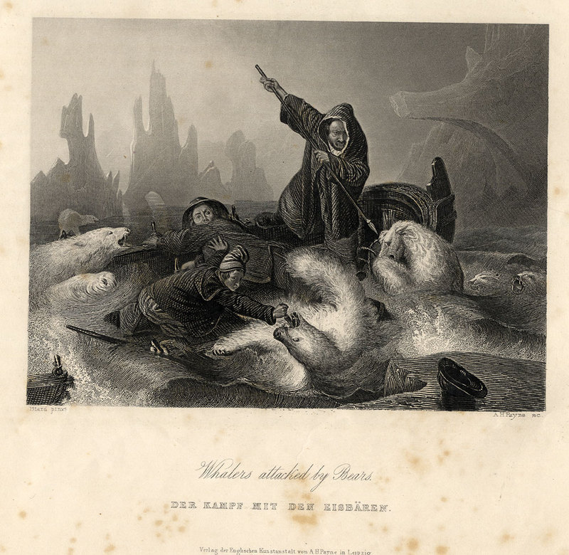 Payne's Universum Whalers attacked by bears c1840 ubs G 0834 I.jpg