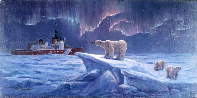 Polar Star Under the Northern Lights by Evelyn Peters DVIDS1085333.jpg