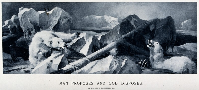 Two polar bears despoiling the remains of a shipwreck in a d Wellcome V0020816.jpg