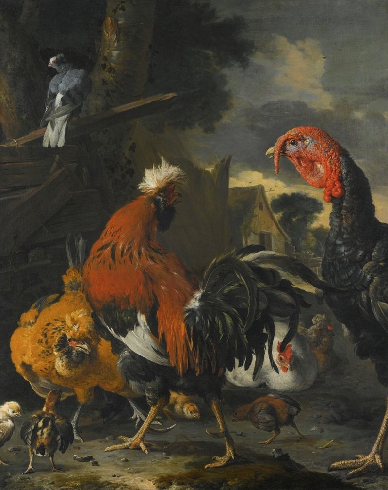 'A Cockerel, a Turkey, Hens and Chickens in a Farmyard' by Melchior d'Hondecoeter.jpg