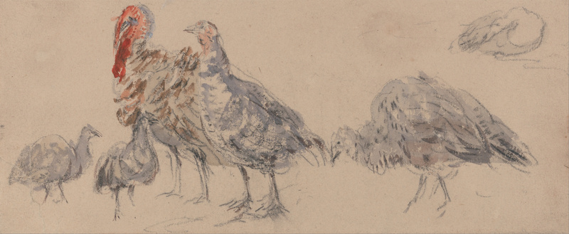 David Cox - Study of Turkeys - Google Art Project.jpg