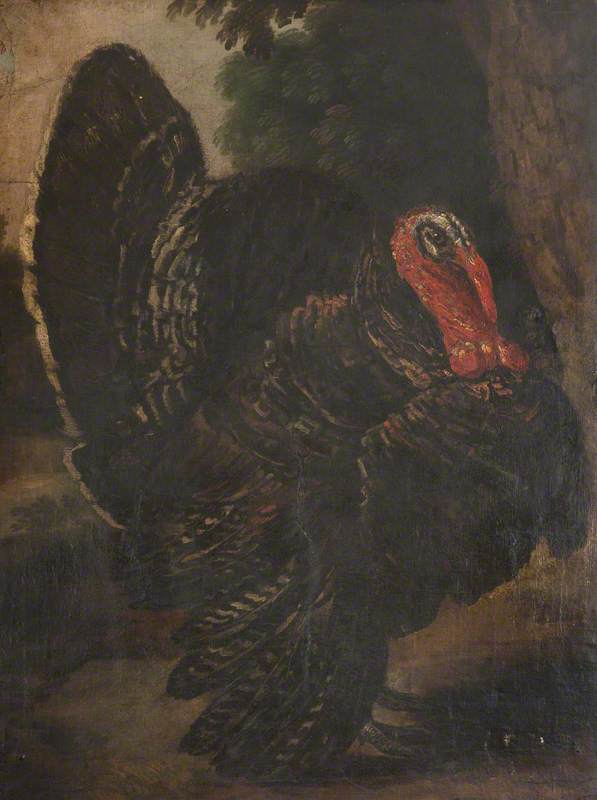 Jacob van der Kerckhoven - A Turkey in a Wooded Glade.jpg