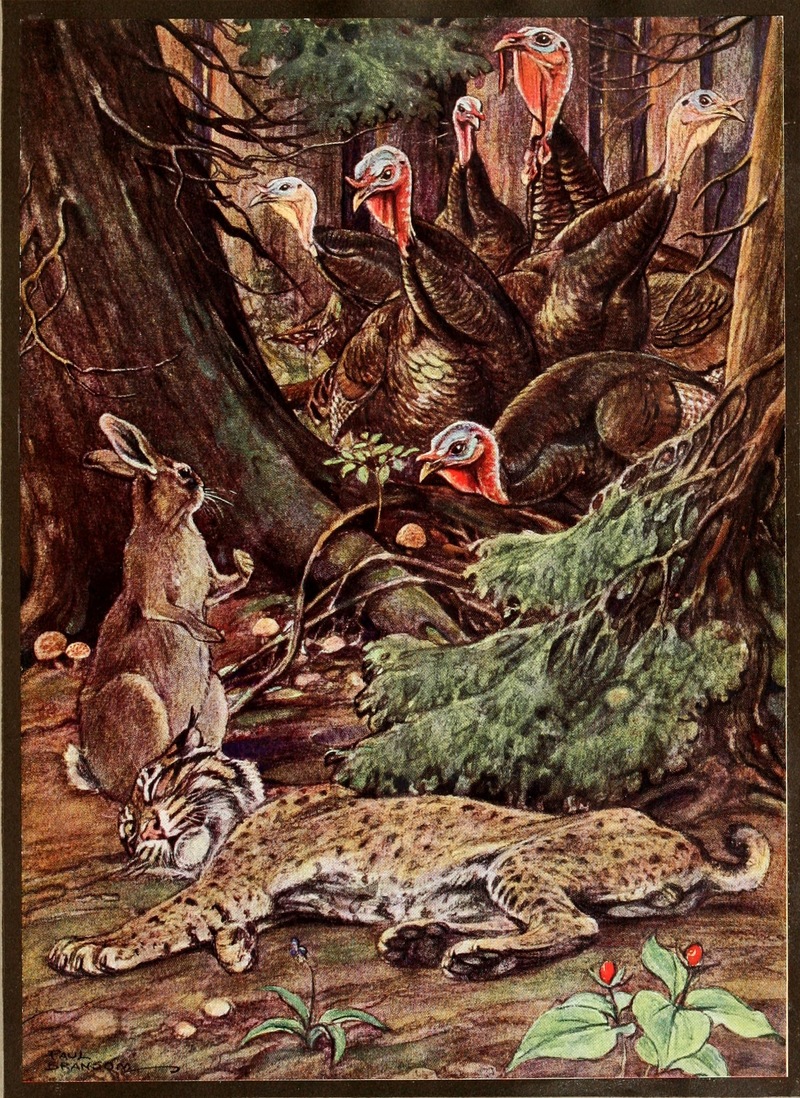 Plate facing page 474, An Argosy of Fables.jpg