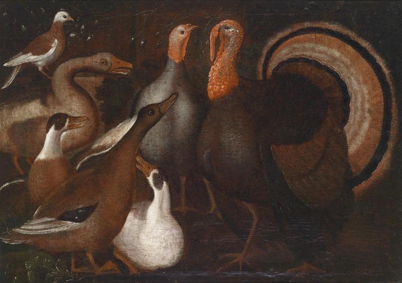 Turkeys ducks and dove (Genoa 17 ct).jpg