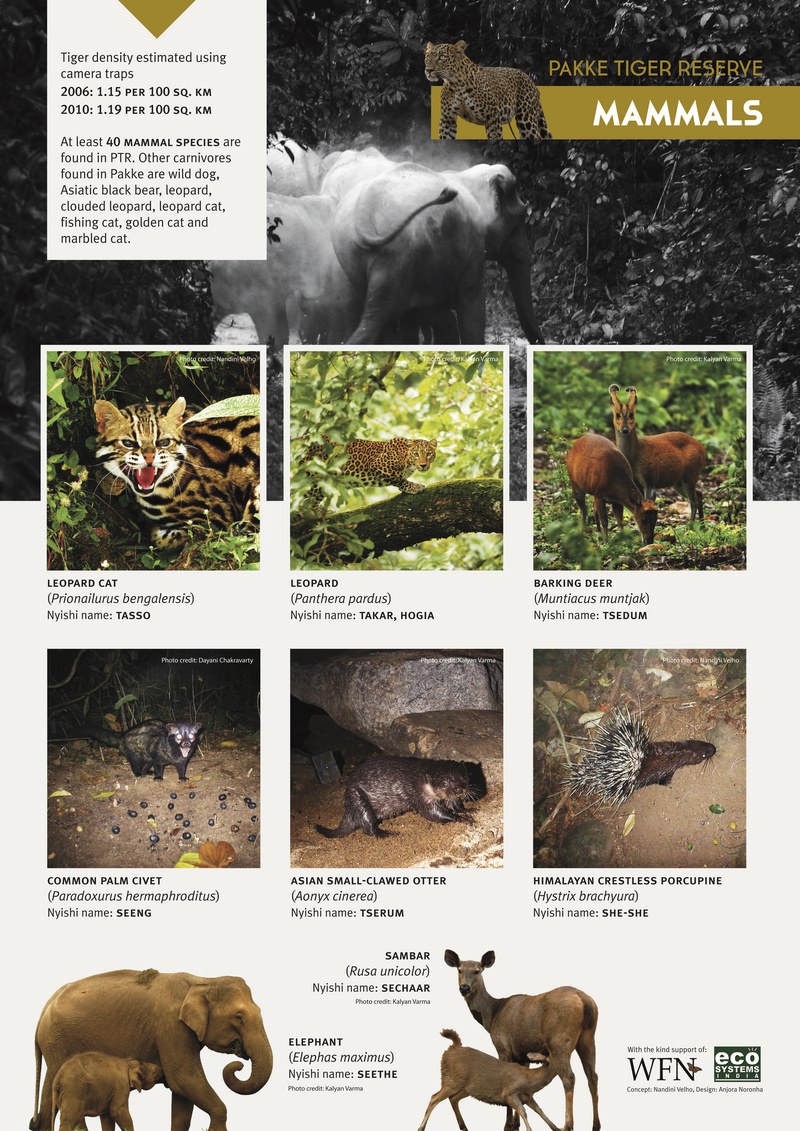 Mammals of Pakke Tiger Reserve.jpg