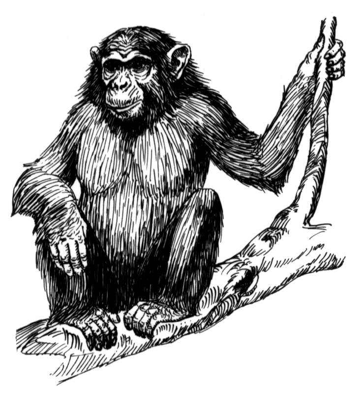 Ape1 (PSF).png